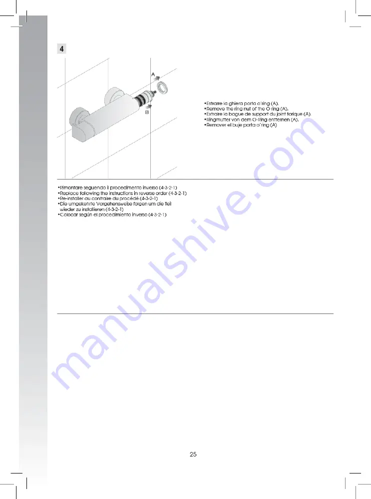 Fantini Mare 1004F Instructions Manual Download Page 25