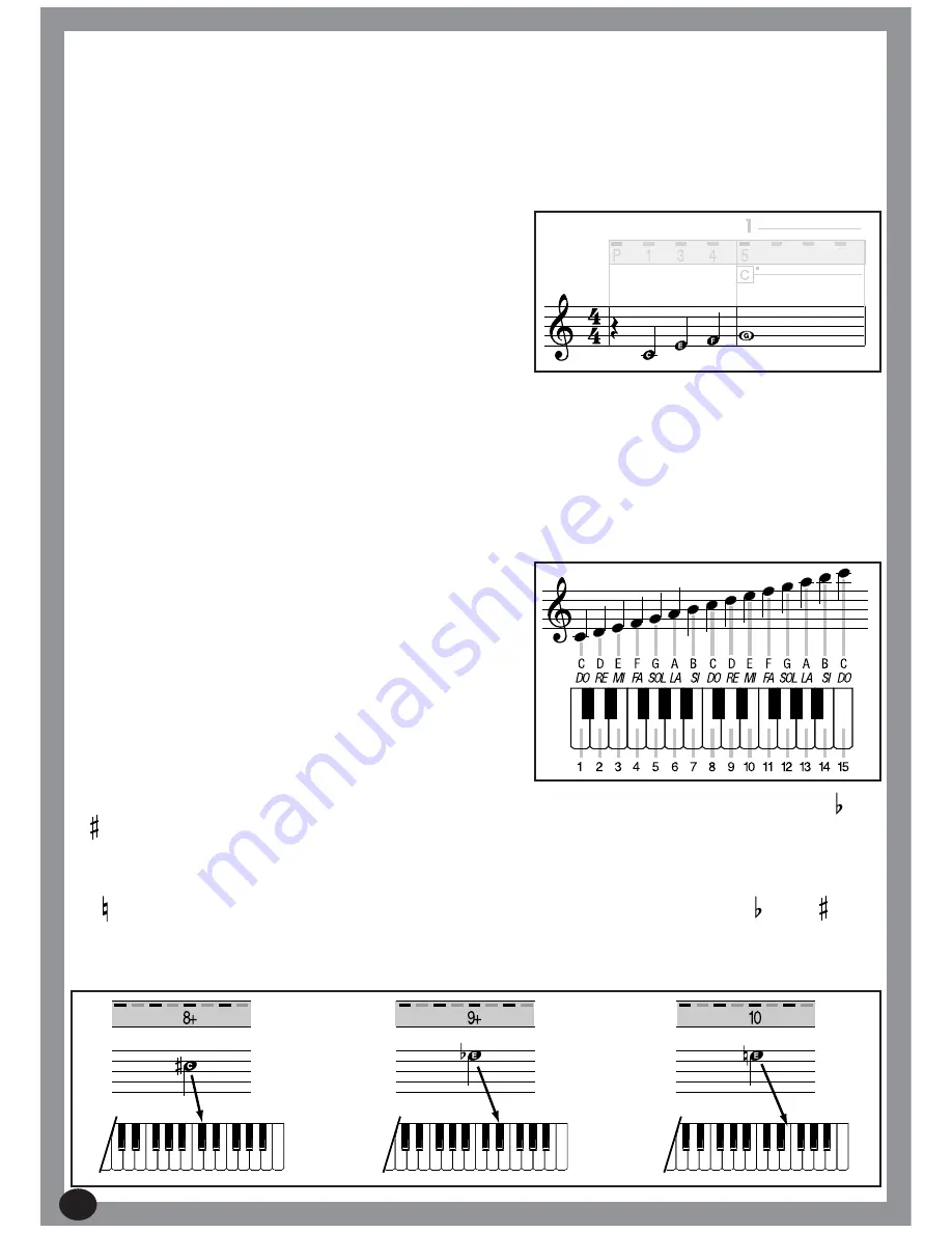 Farfisa SK 330 Скачать руководство пользователя страница 12