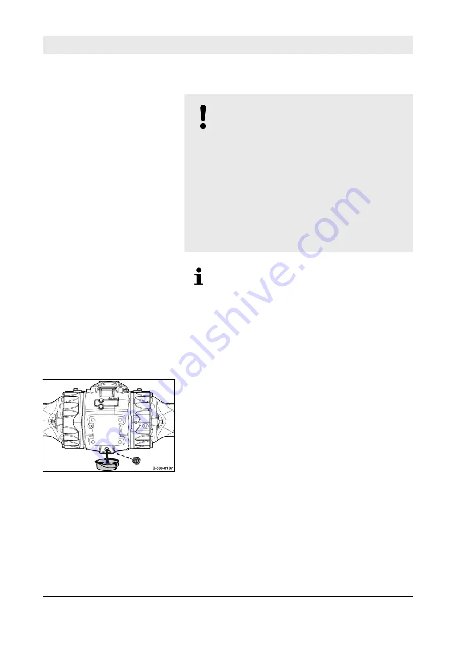 Fayat Group BOMAG BW 213 D-5 Operating Instruction,  Maintenance Instruction Download Page 183