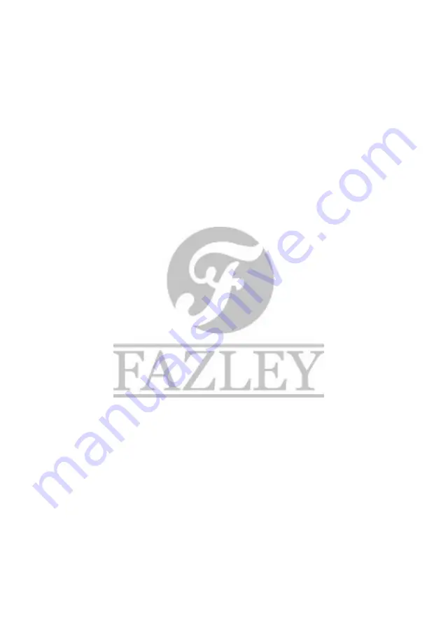 FAZLEY 9000-0050-2267 Скачать руководство пользователя страница 2