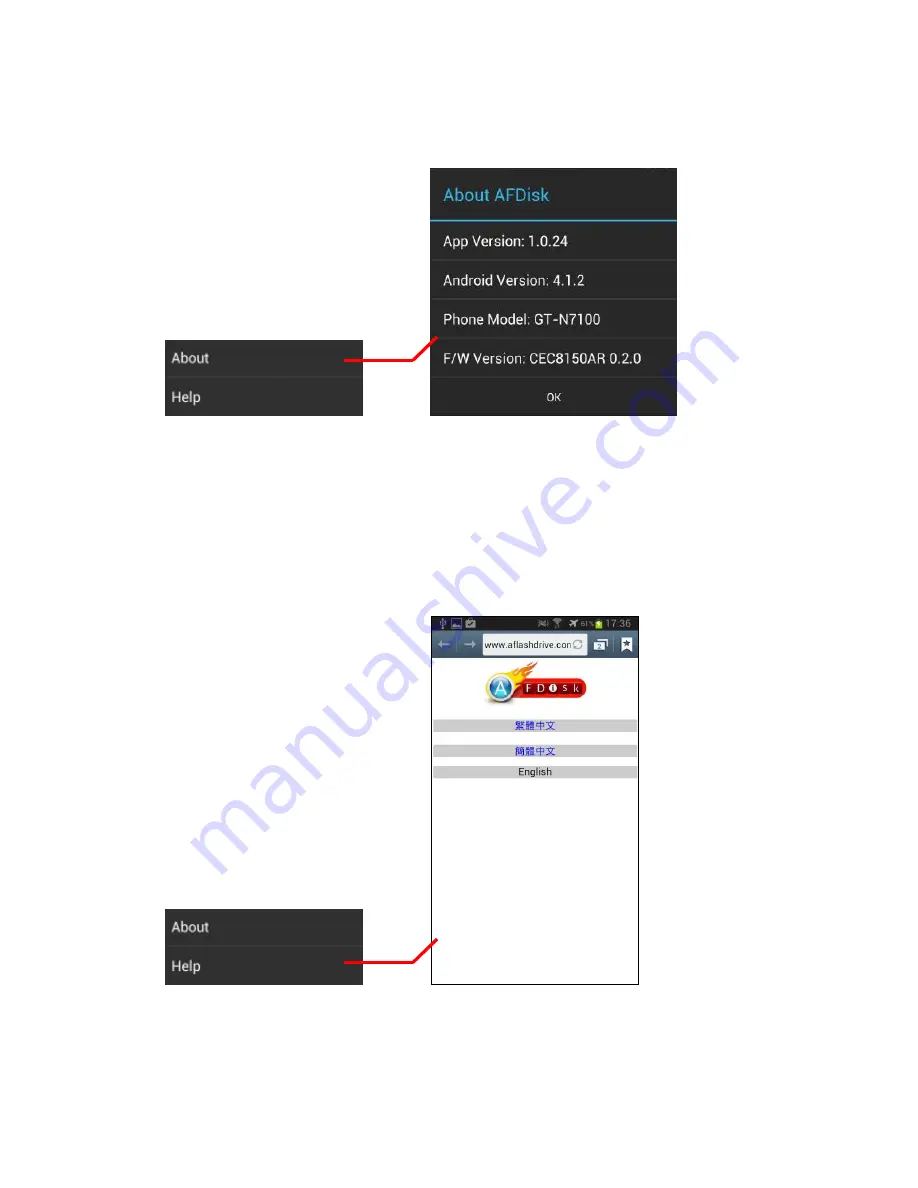 FDiSK Smart Flash Drive User Manual Download Page 12