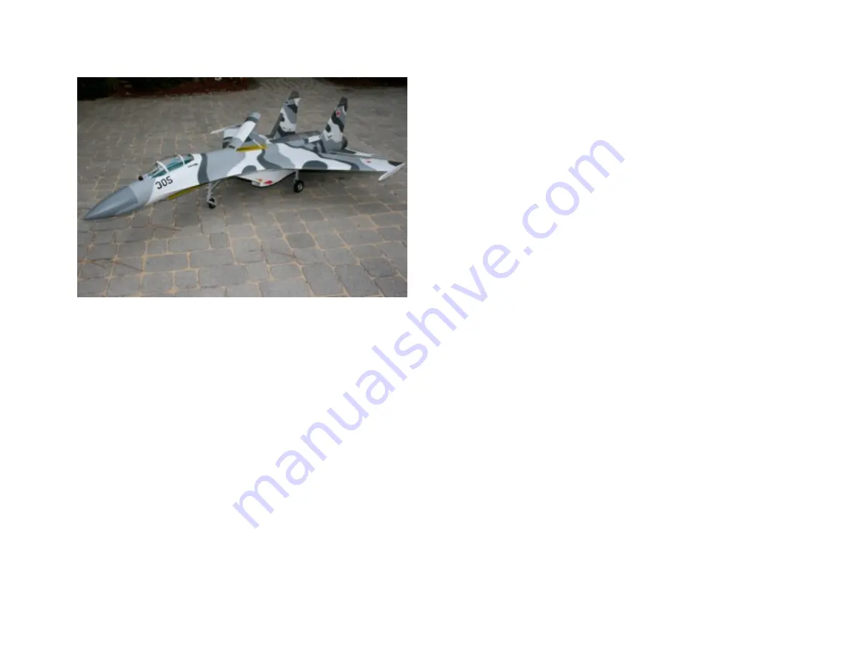 Fei Bao SU-27 Assembly Manual Download Page 1