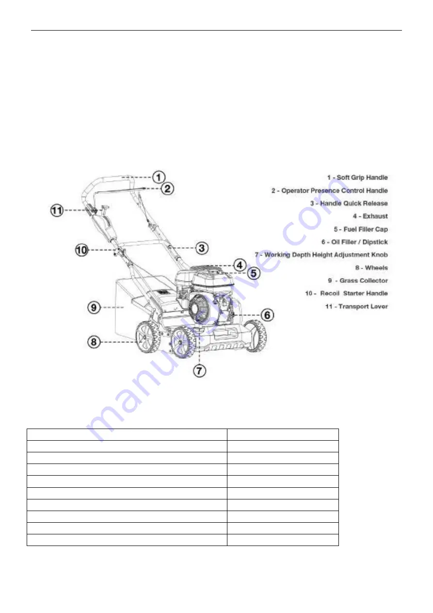 Feider FST200PRO Instruction Manual Download Page 11