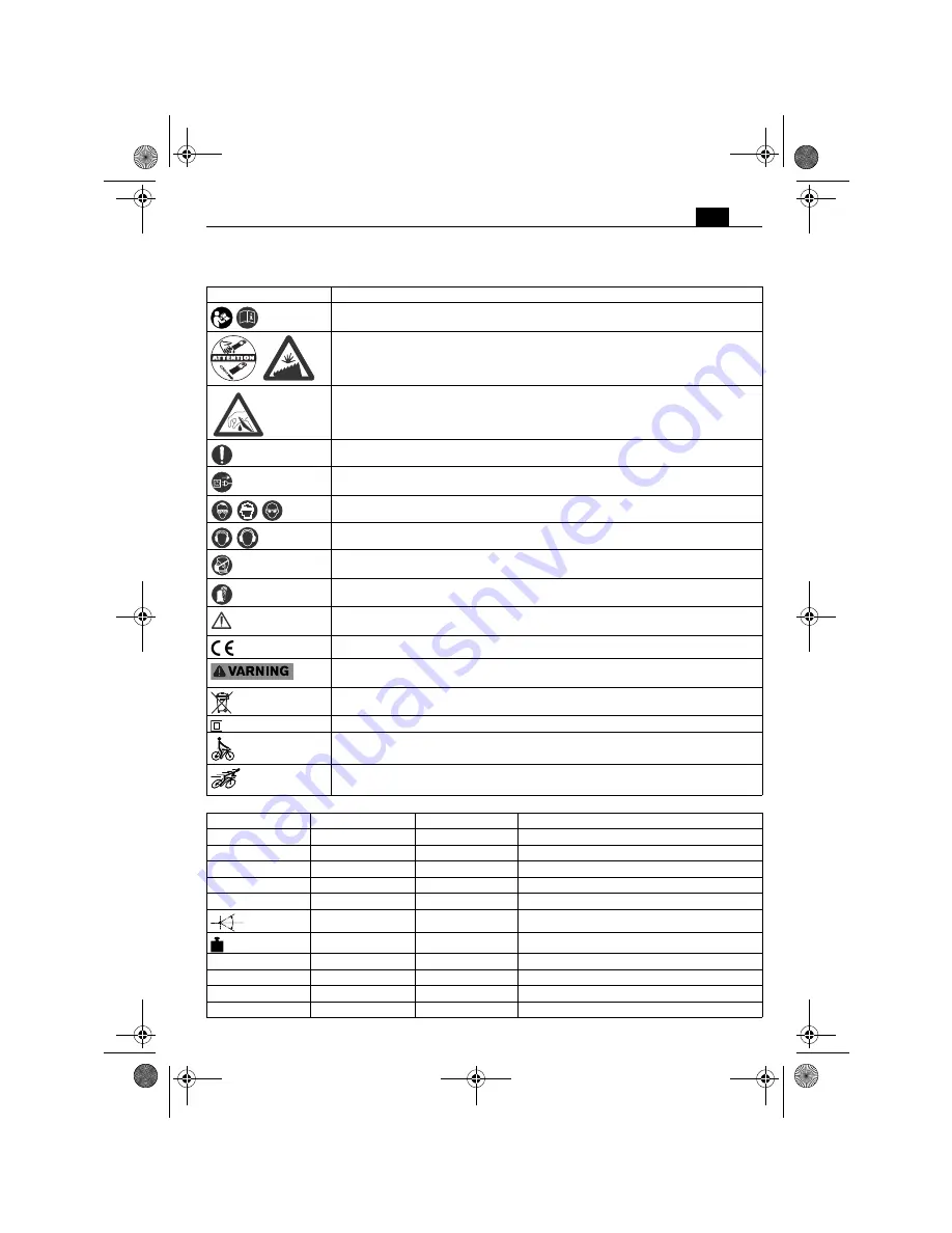 Fein MULTIMASTER FMM 250 Q Скачать руководство пользователя страница 43