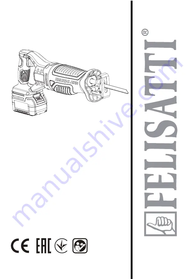 Felisatti P52246 Скачать руководство пользователя страница 1