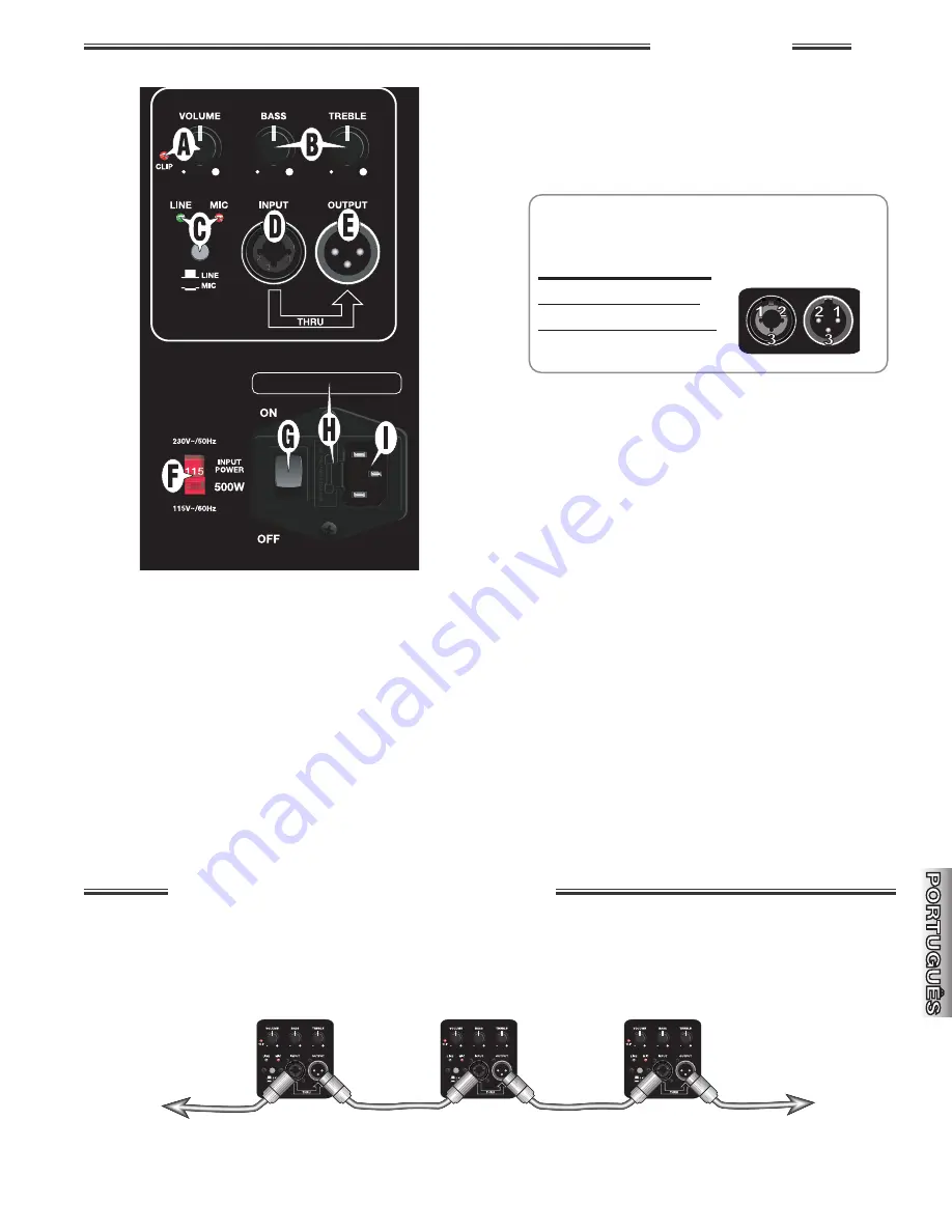 Fender ACE Series Owner'S Manual Download Page 31