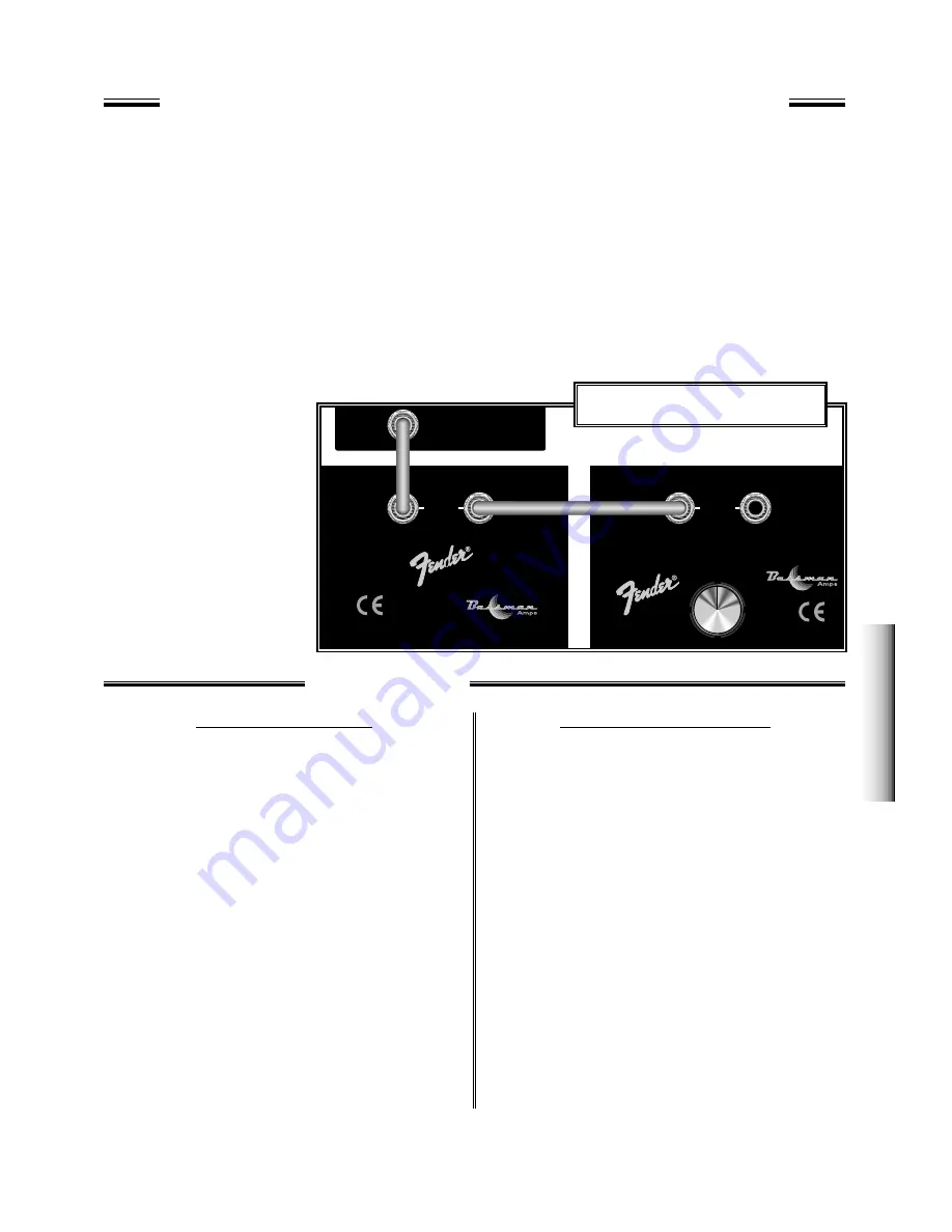 Fender Bassman 115 Operating Instructions Manual Download Page 5