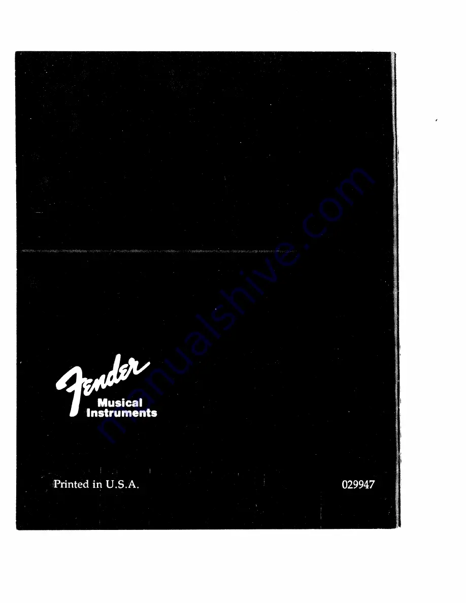 Fender JAZZ BASS SPECIAL Manual Download Page 20