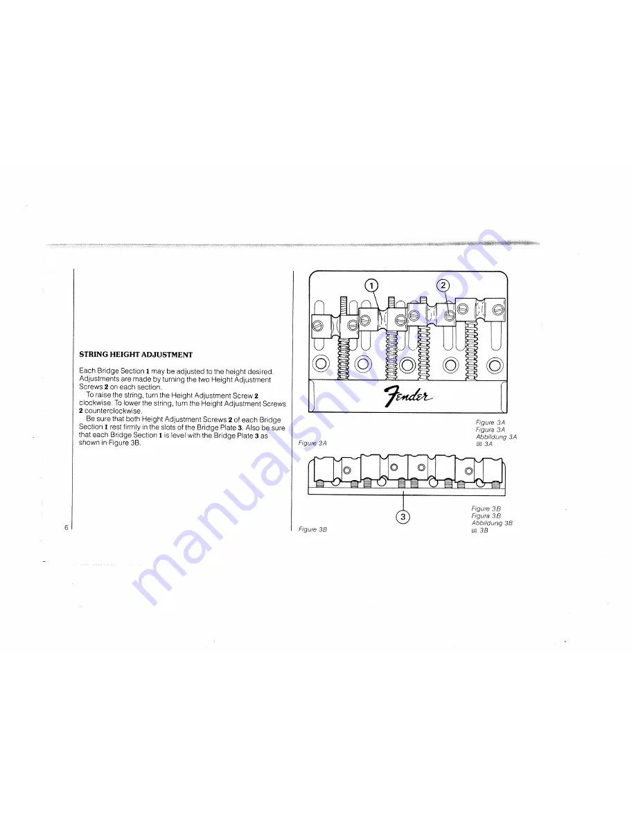 Fender Precision Special Owner'S Manual Download Page 8