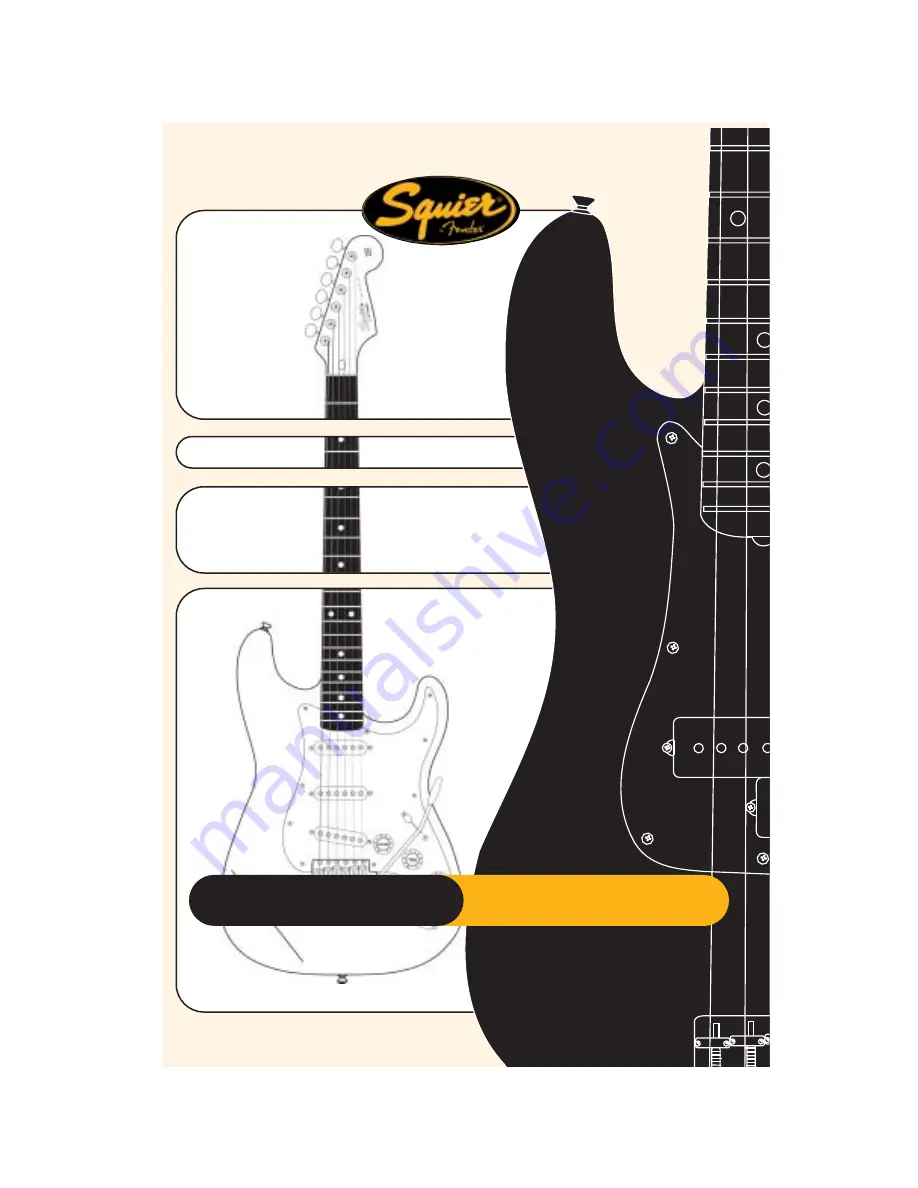 Fender SQUIER SERIES Troubleshooting Manual Download Page 2