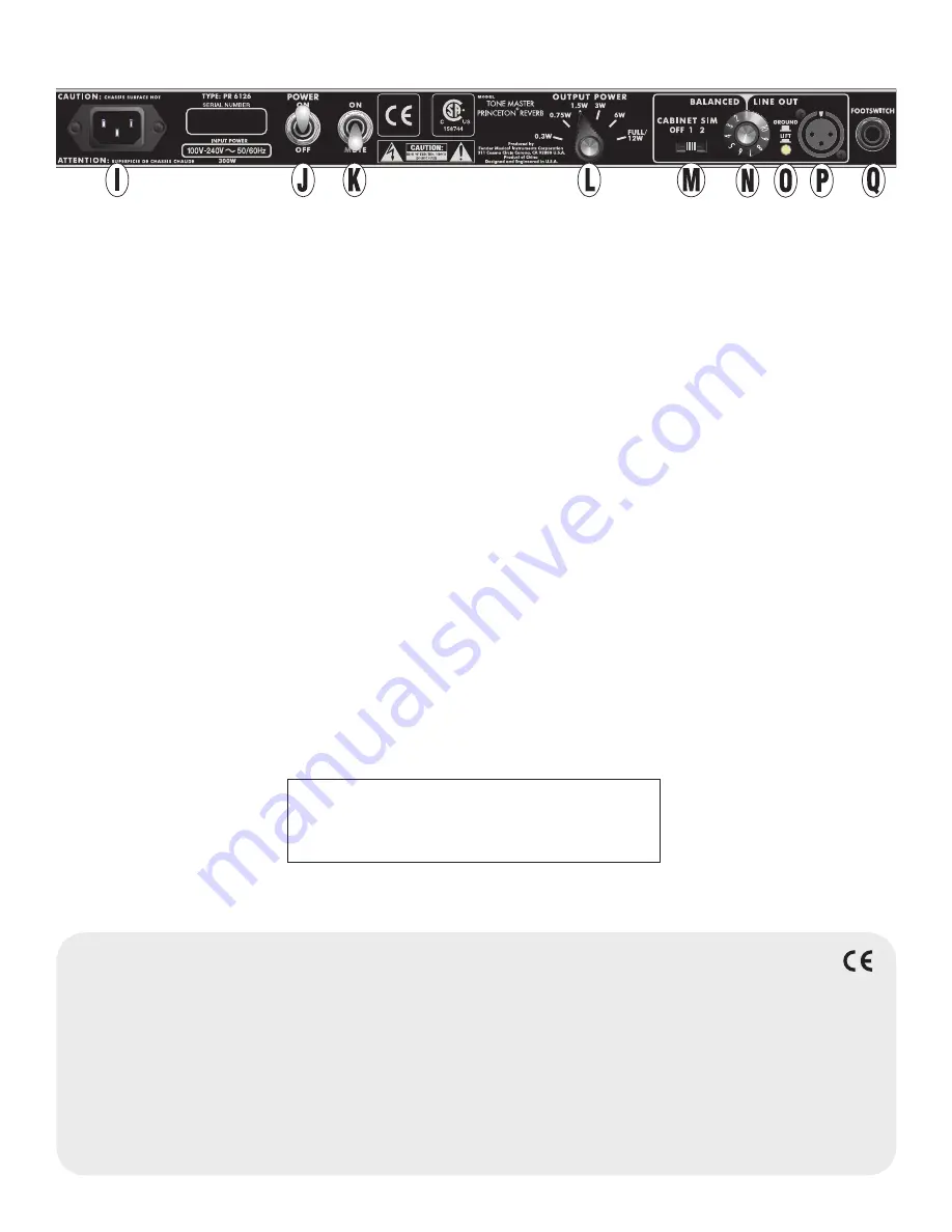 Fender TONE MASTER Princeton Reverb-Amp Owner'S Manual Download Page 19