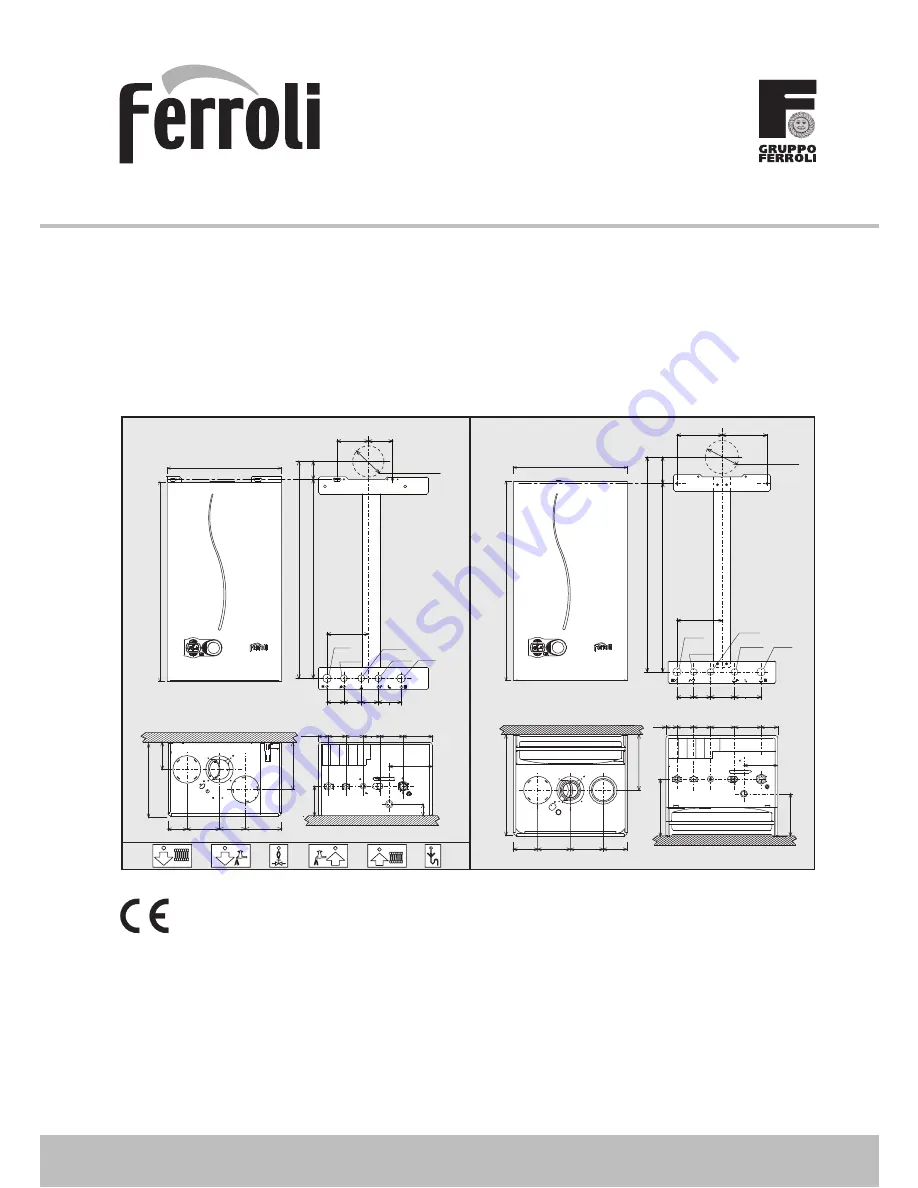 Ferroli DOMItech F 24 - 32 D Скачать руководство пользователя страница 1