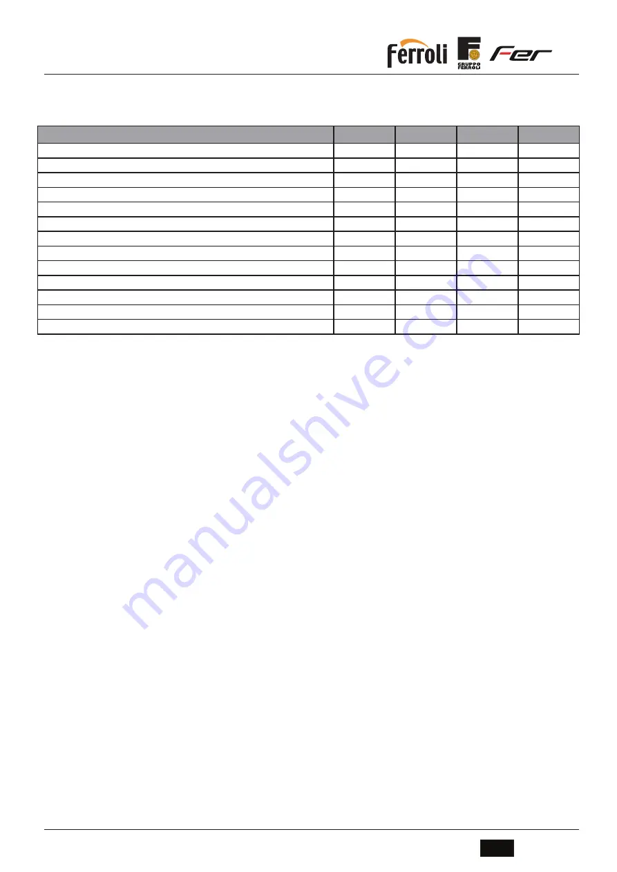 Ferroli ECOUNIT 2C 200 Manual Download Page 19