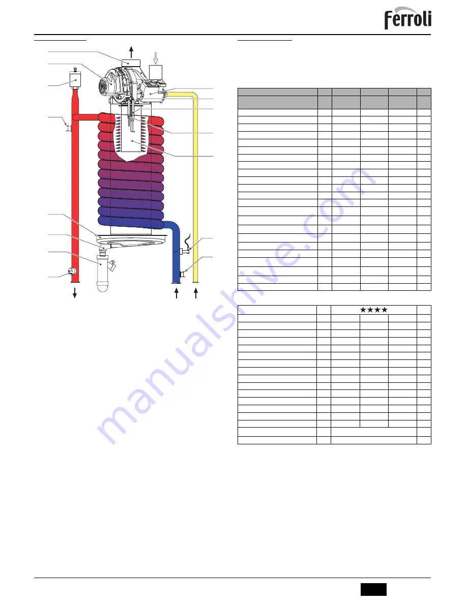 Ferroli ENERGY TOP W 125 Instructions For Use, Installation And Maintenance Download Page 13