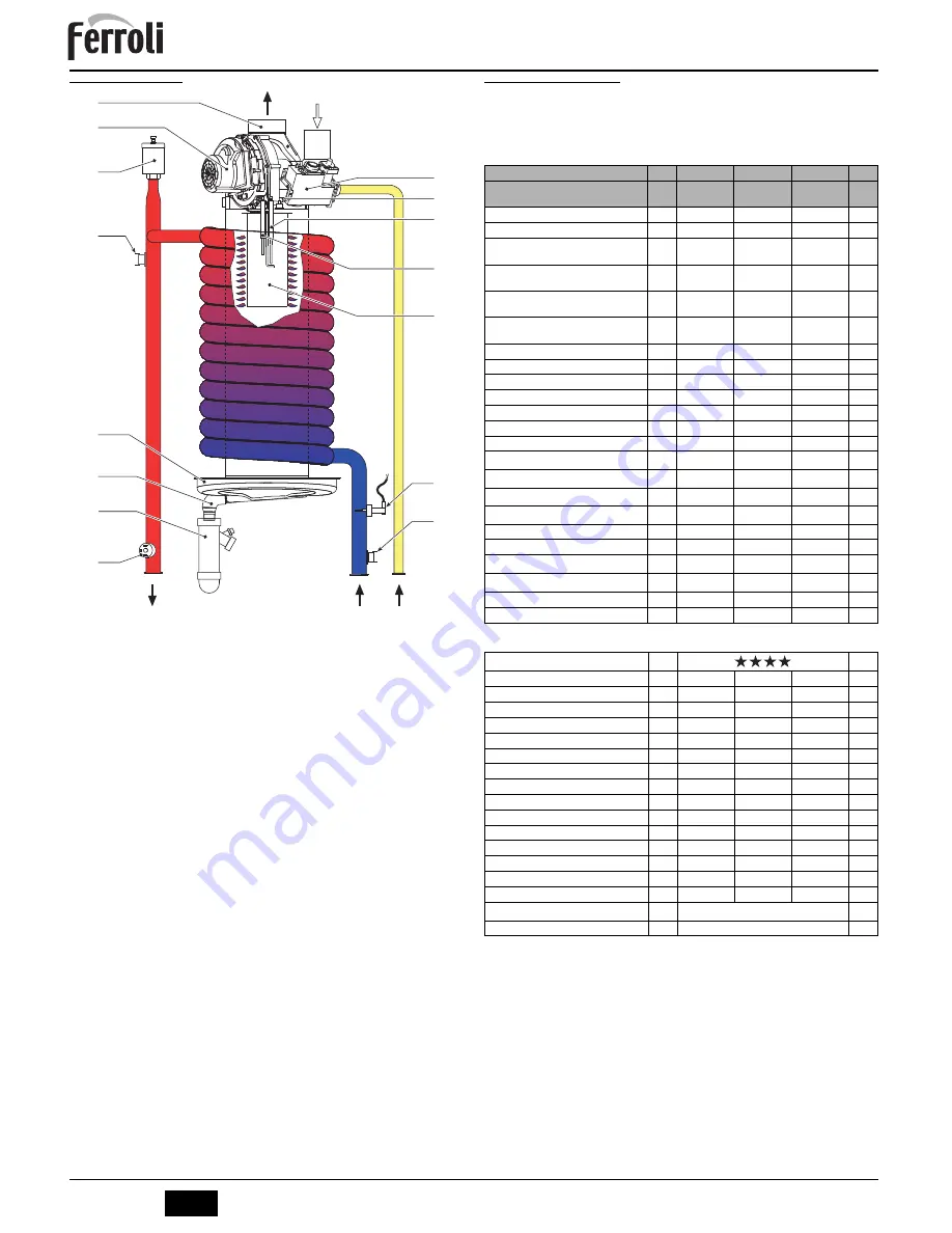 Ferroli ENERGY TOP W 125 Скачать руководство пользователя страница 28