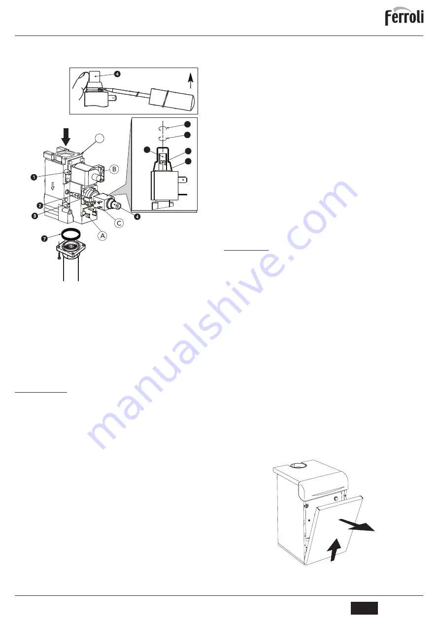 Ferroli PEGASUS 119 LN 2S Instructions For Use, Installation And Maintenance Download Page 5