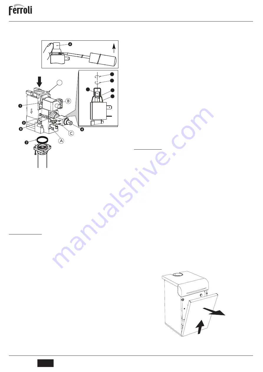 Ferroli PEGASUS 119 LN 2S Instructions For Use, Installation And Maintenance Download Page 14