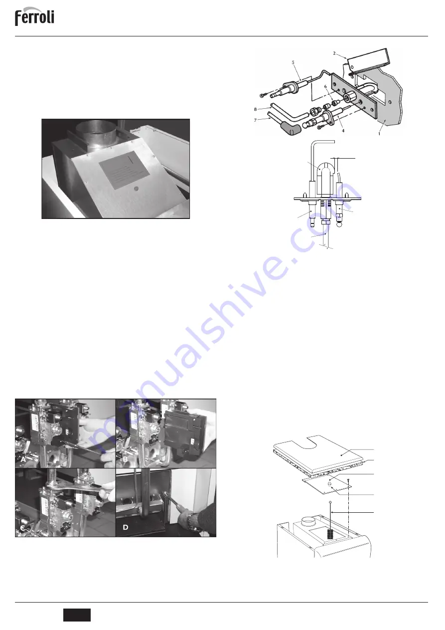 Ferroli PEGASUS 119 LN 2S Instructions For Use, Installation And Maintenance Download Page 48