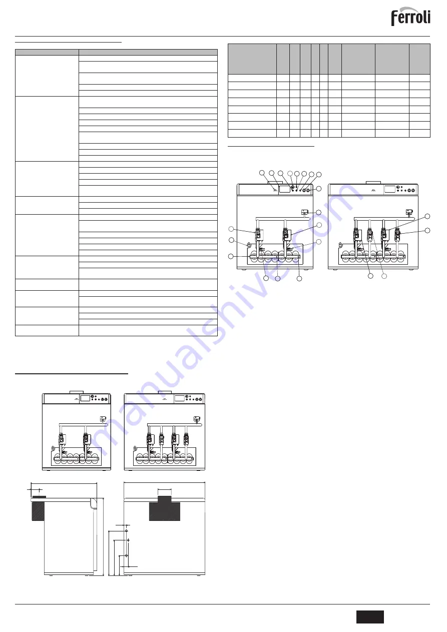 Ferroli PEGASUS 119 LN 2S Instructions For Use, Installation And Maintenance Download Page 49