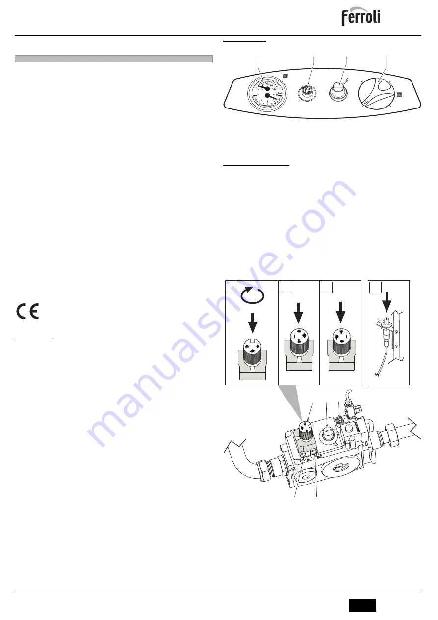 Ferroli PEGASUS 23 T Instructions For Use, Installation And Maintenance Download Page 28