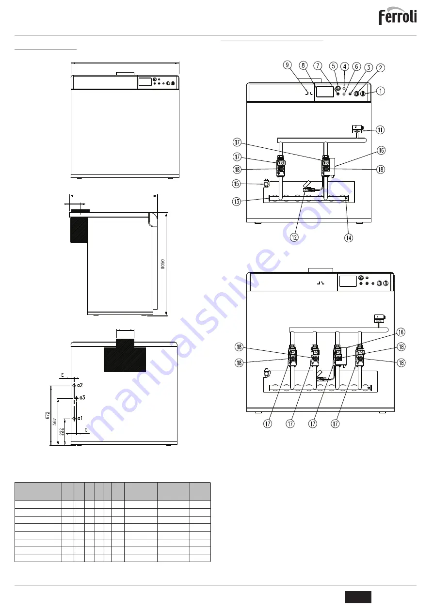 Ferroli PEGASUS F3 N 2S Instructions For Use, Installation And Maintenance Download Page 7