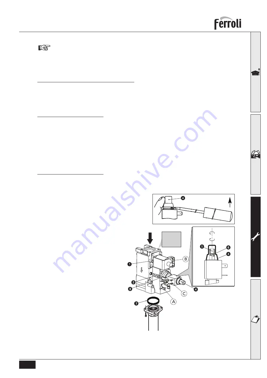 Ferroli PEGASUS LN 2S Series Operating, Installation And Maintenance Manual Download Page 127