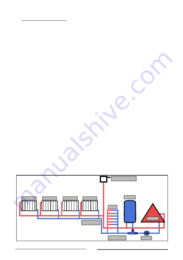 Ferroli SALERNO PELLET Assembly And Exploitation Manual Download Page 5