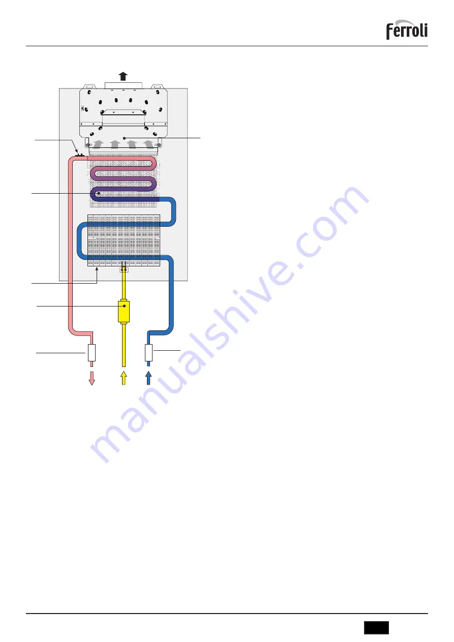 Ferroli SKY ECO C Instructions For Use, Installation And Maintenance Download Page 25