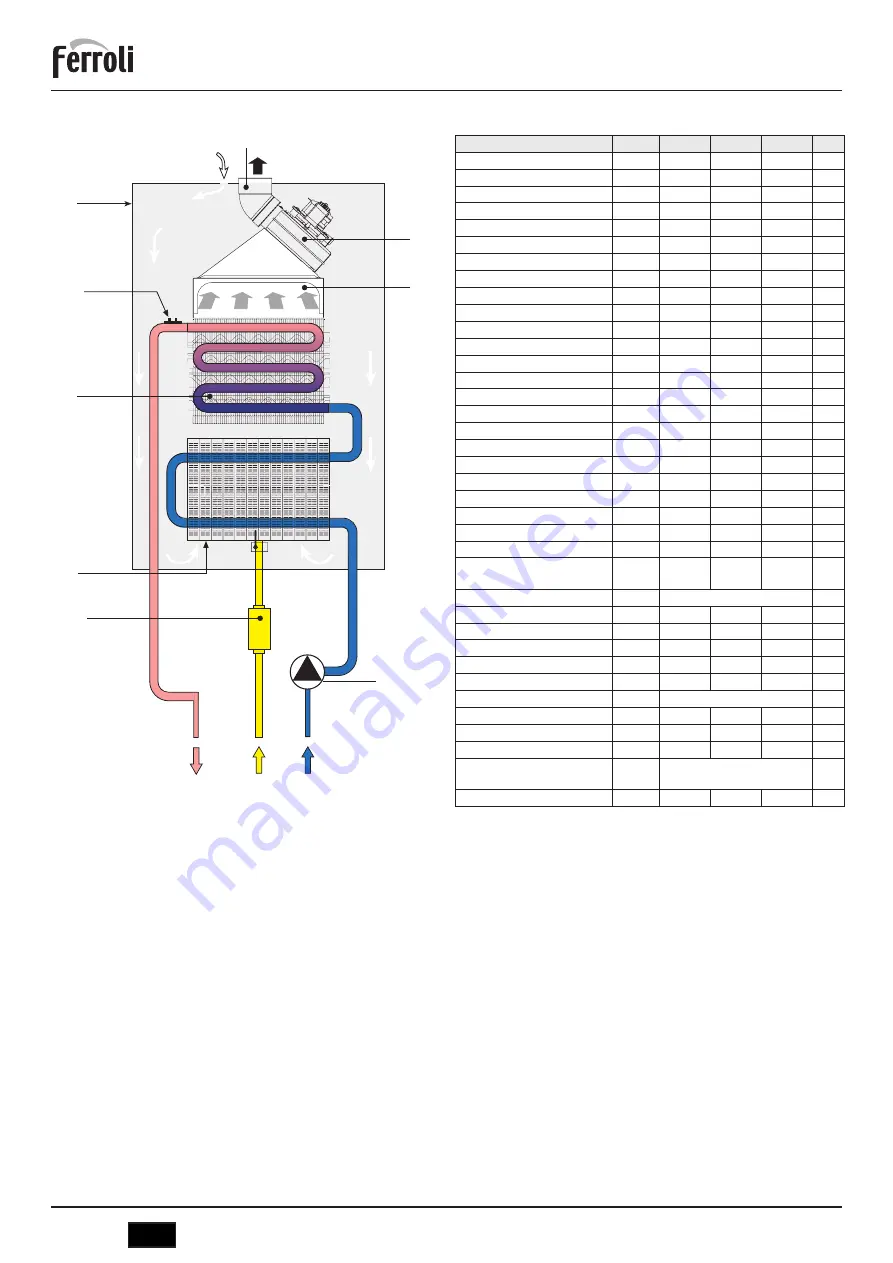 Ferroli SKY ECO F 11 Instructions For Use, Installation And Maintenance Download Page 50