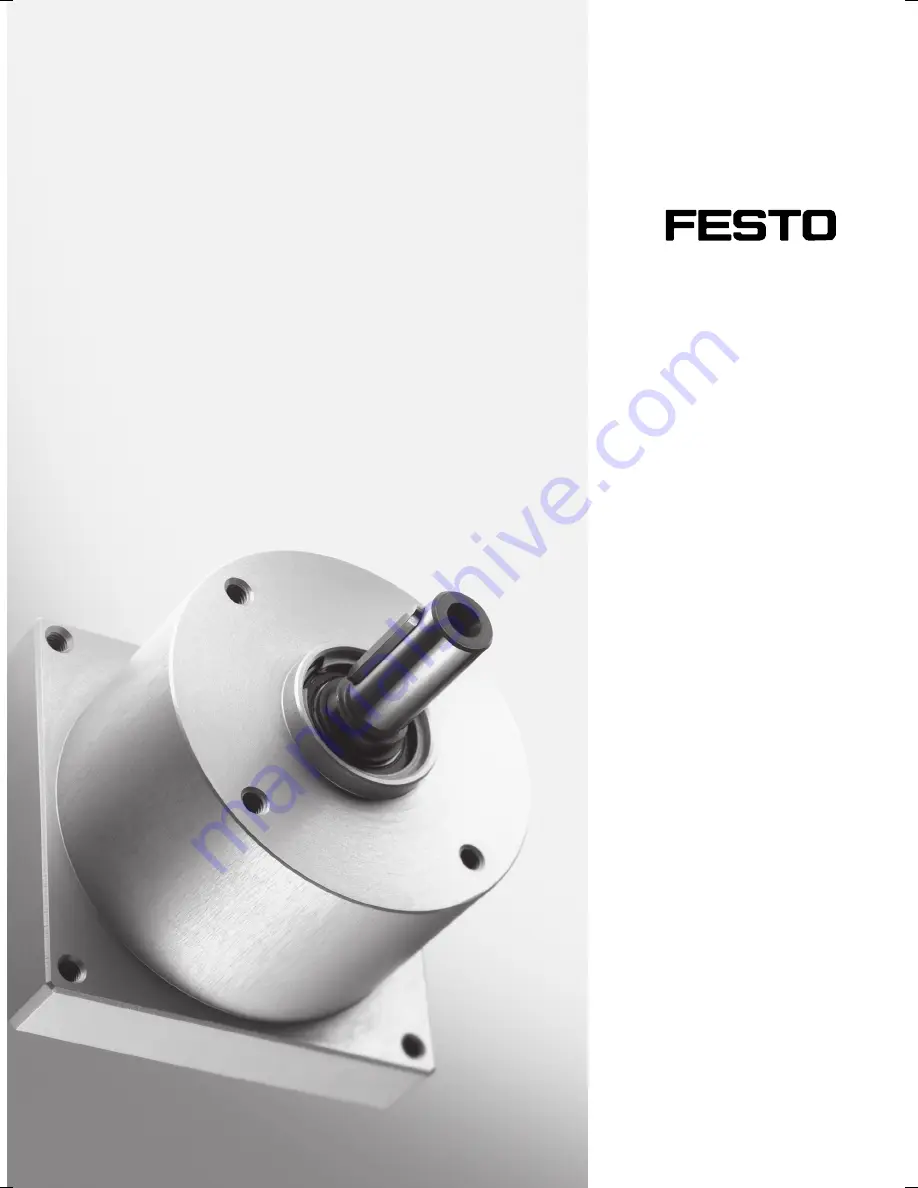 Festo FLSM Скачать руководство пользователя страница 1