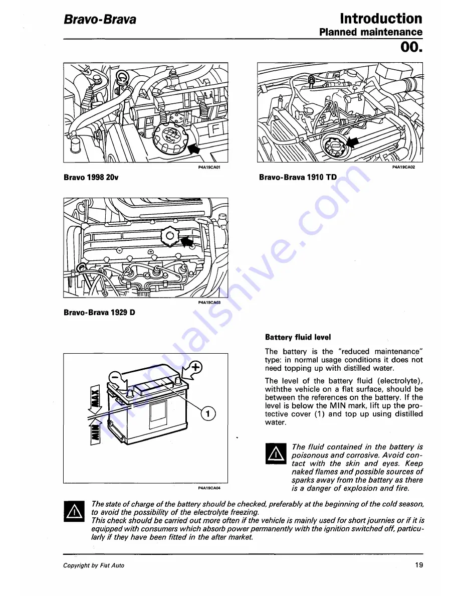 Fiat 1996 Brava Скачать руководство пользователя страница 53