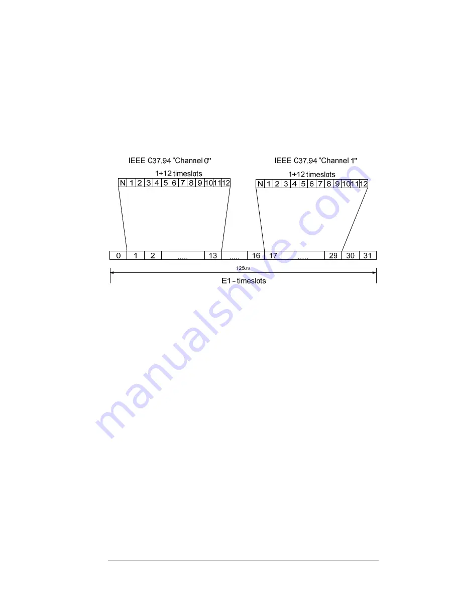 Fibersystem 21-219 Скачать руководство пользователя страница 5