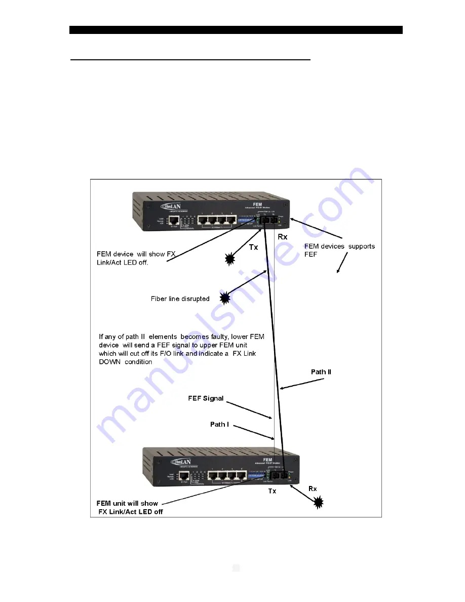 FibroLAN FEM User And Installation Manual Download Page 14