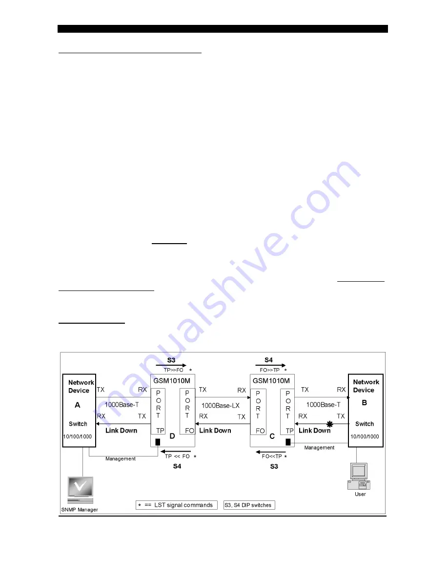 FibroLAN GSM1010M Скачать руководство пользователя страница 13