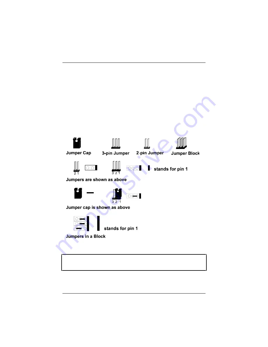 FIC VT-501 Installation Procedures Manual Download Page 3