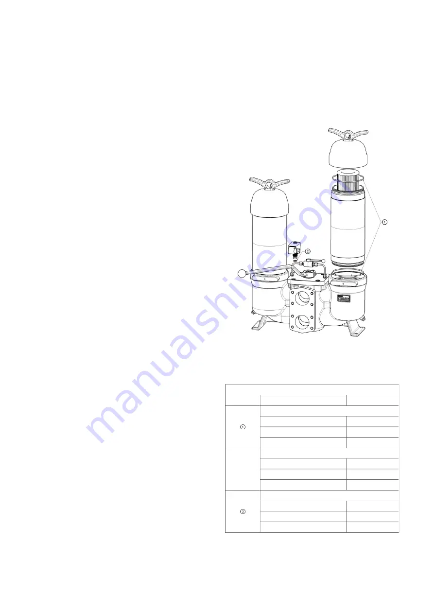 Filtration Group Pi 210 Series Manual Download Page 42