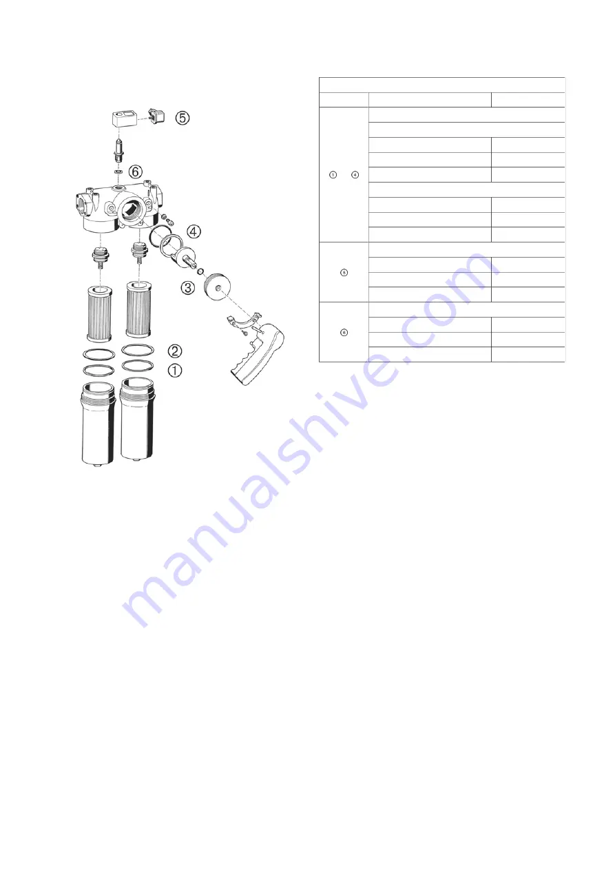 Filtration Group Pi 210 Series Скачать руководство пользователя страница 79