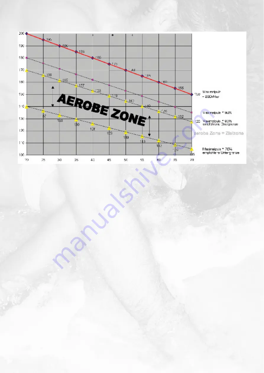 Finnlo NRG 3279 Manual Download Page 42