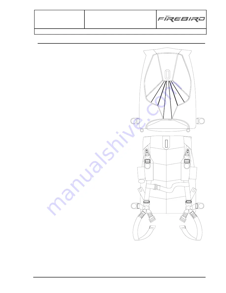 FireBird TD 400 Handbook Download Page 8