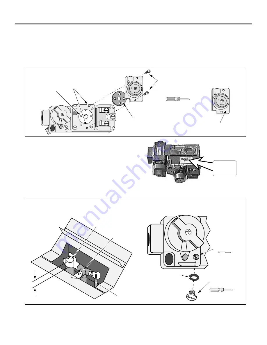 FireplaceXtrordinair 36DV-A/R Owner'S Manual Download Page 41