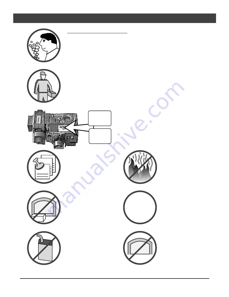 FireplaceXtrordinair 44 DV XXL EF Owner'S Manual Download Page 2