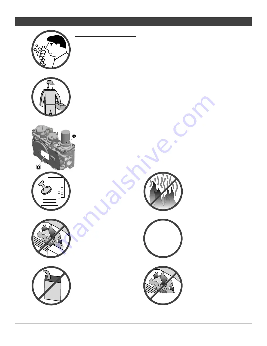 FireplaceXtrordinair 4415 HO GSR2 Owner'S Manual Download Page 4