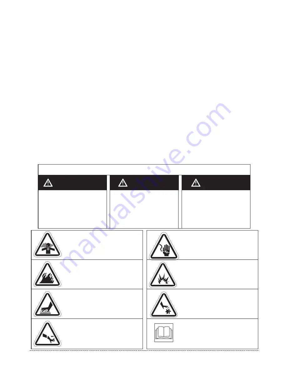 Firman P03602 Owner'S Manual Download Page 3