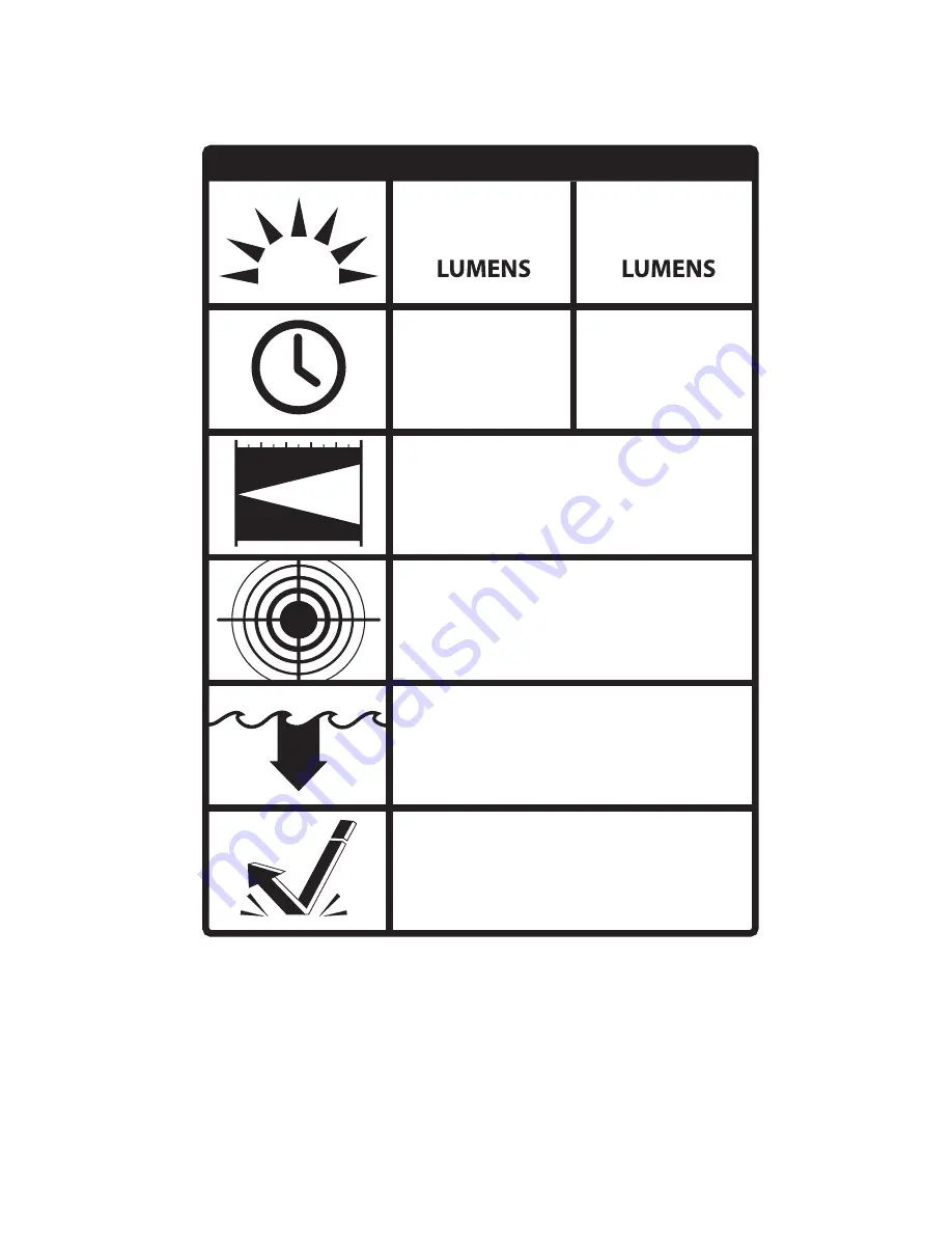 First Light TORQ User Manual Download Page 4