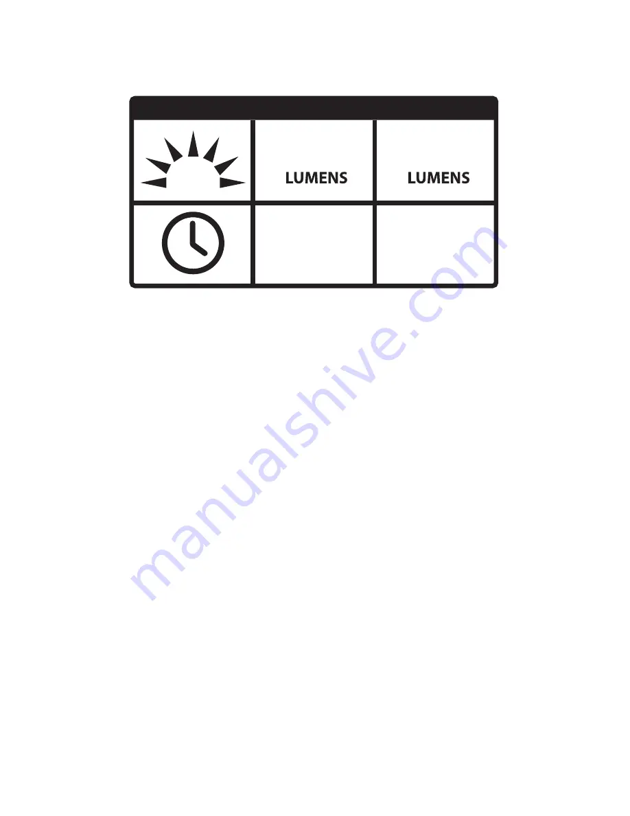 First Light TORQ User Manual Download Page 5