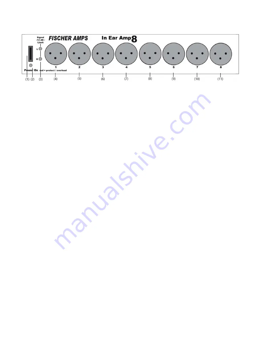 Fischer Amps In Ear Amp 8 Manual Download Page 2