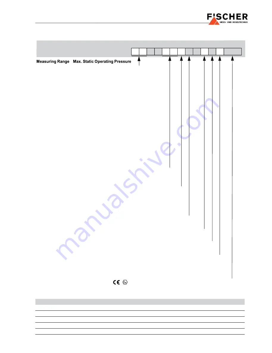 FISCHER DE45 series Data Sheet And Instruction Manual Download Page 11