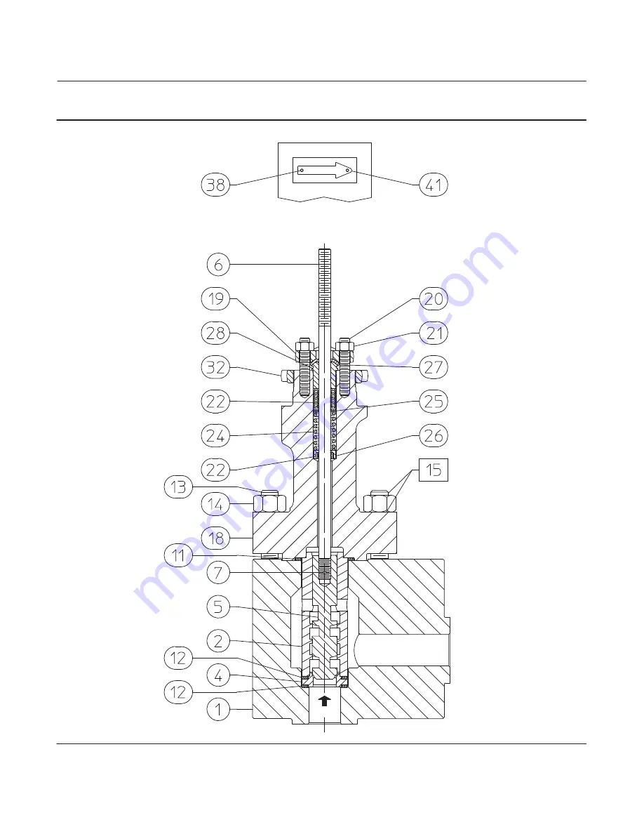 Fisher NotchFlo DST CL1500 Скачать руководство пользователя страница 19