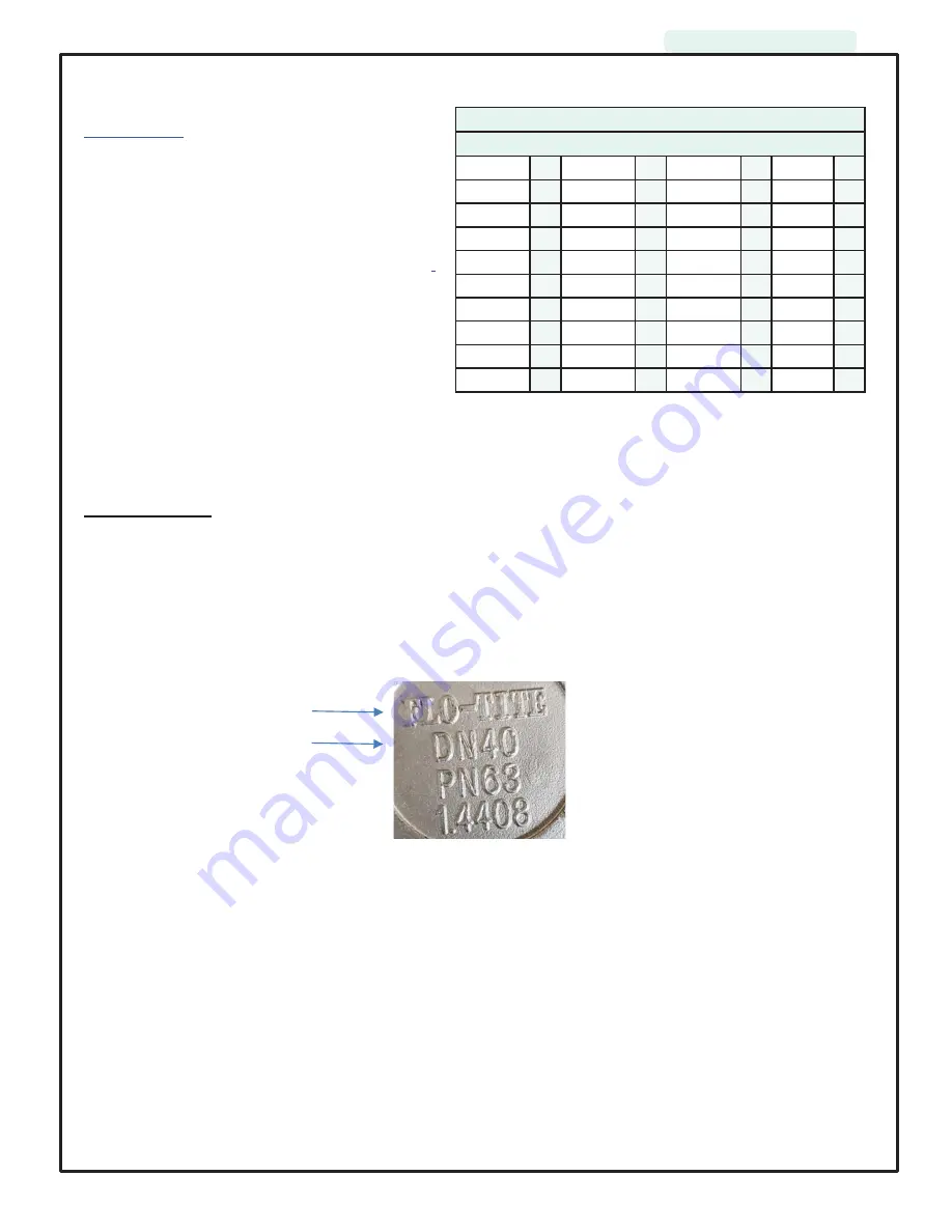 Flo-Tite DM MPT100SS Скачать руководство пользователя страница 5