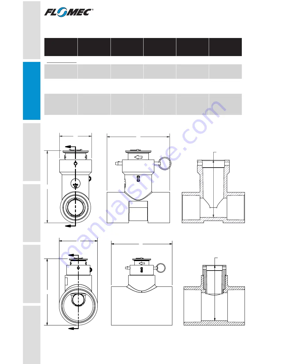 Flomec QS200 Product Owners Manual Download Page 6